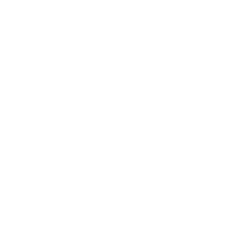 Hotel Renzi